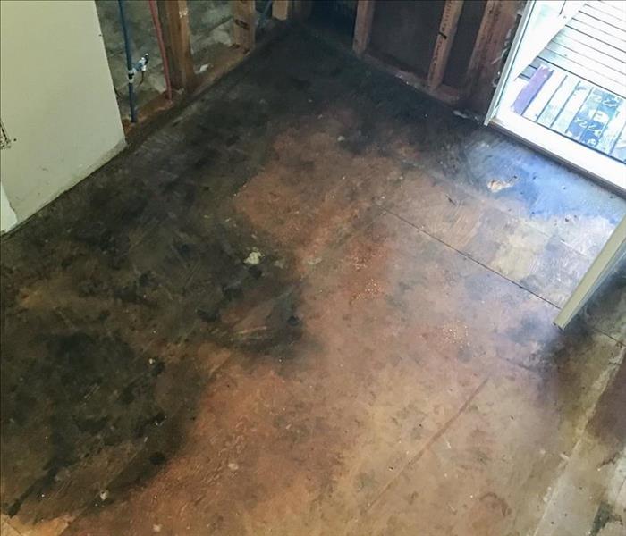 Mold growth on the floor of a Puyallup, WA home after the carpet was removed.