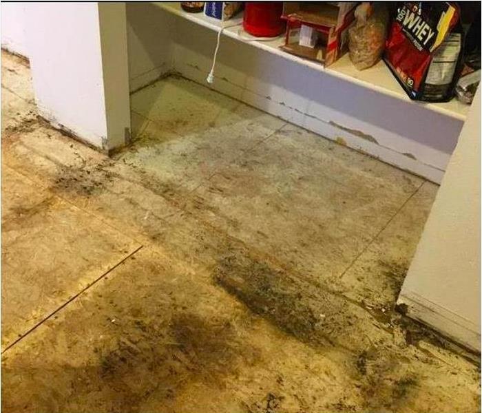 Water and mold damage in a home