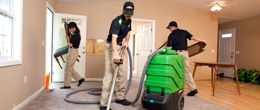 Puyallup, WA cleaning services